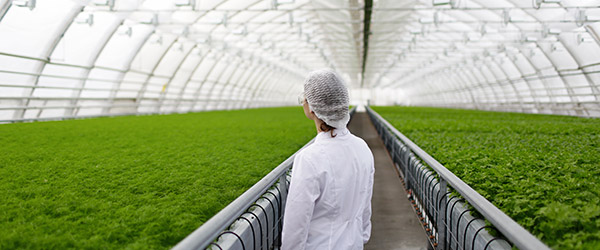 montage-secteur-agriculture-01-01