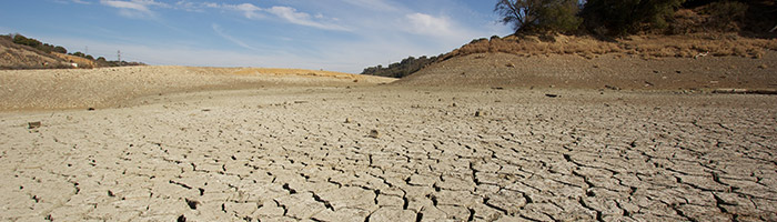 chiffres-cles-ead-700x200-01-01