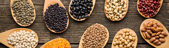 chiffres-cles-agriculture-700x200-02-01 chiffres-cles-agriculture-700x200-02-01